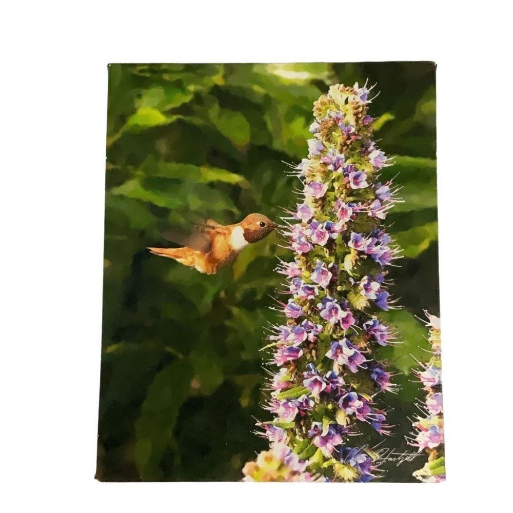 Art Prints Springtime Nectar Hummingbird Photo Strokes 8x10 Wall Mounted Canvas - Picture 1 of 4